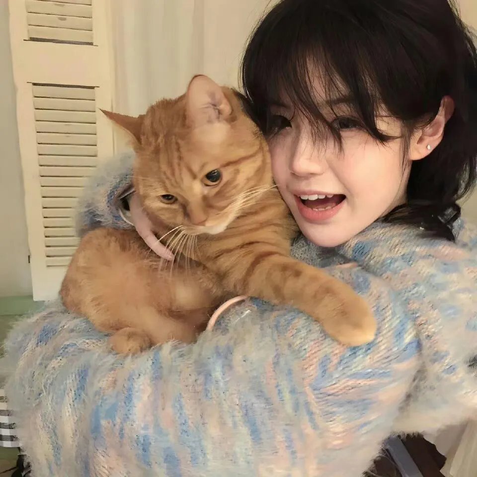 医学的重大突破-编辑你的基因（第64季第17集）