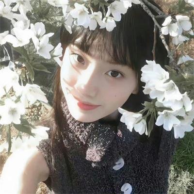柳叶摘星辰